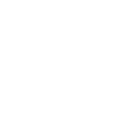 Logo-Icon-White